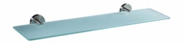 Ambrosya - Ablage aus Edelstahl und Glas - Wandregal Badablage Duschregal Badregal Glasablage Wand Bad (Edelstahl (Gebürstet), 50 cm x 12 cm) - 1